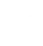 point.01